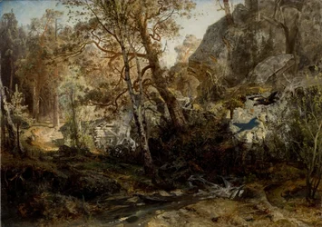 Finnish Forest Landscape