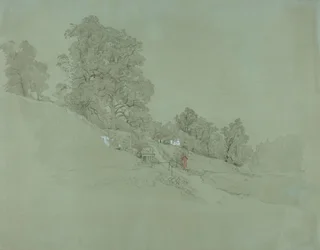 Hillside Landscape