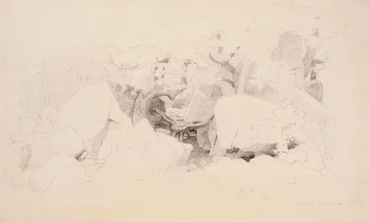 Boulders in the Forest