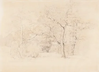Landscape, Grove