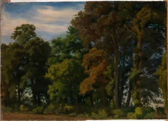 Landscape in Germany, Study