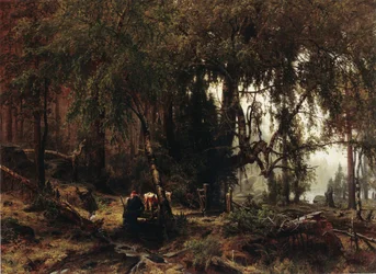 Forest in Rainy Weather
