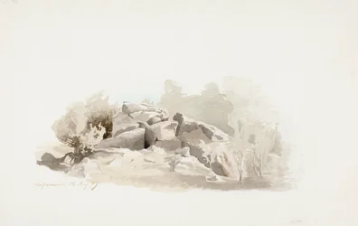 Broken Cliff Surrounded by Bushes