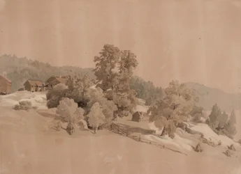 Summer Landscape