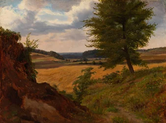 Tree in Field Landscape, Study