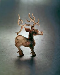 Stag