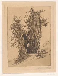 Hollow Tree near Seelisberg in Switzerland