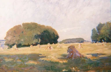 Haystacks in a Field