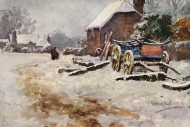 Winter Scene