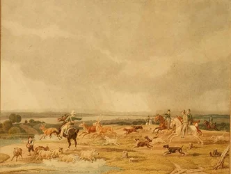 A Stag Hunt