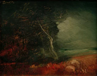 Gloomy Forest Edge (Potato Fire)