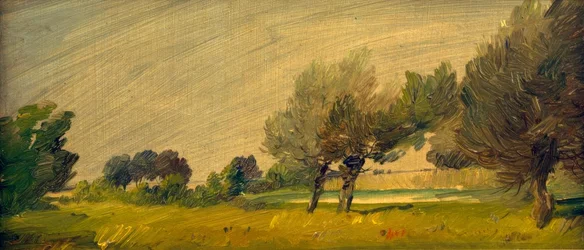 Green Summer Landscape – Willows by the Pond
