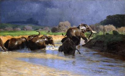 Elephants Bathing