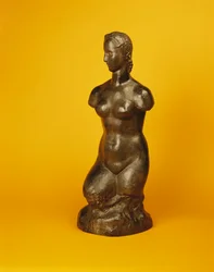 Female Torso