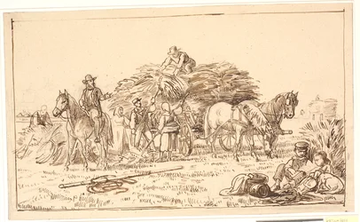 Harvest Scene