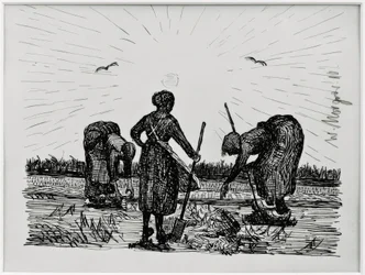 Three Women in the Field