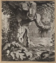 The Audacious Fool