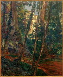 Hemsbach Castle Behind Trees