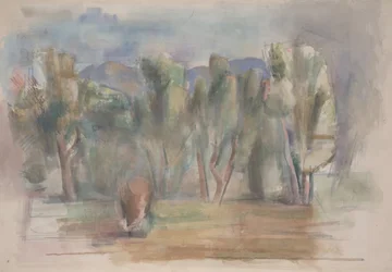 Study