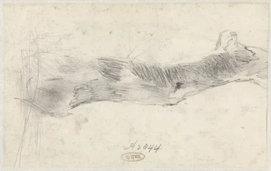 Study of a Tree