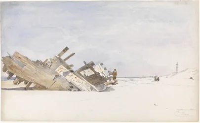 Driftwood on the Beach of Renesse in Schouwen-Duiveland
