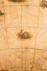 (Detail) of a Sea Monster from a Terrestrial Globe, 1645-48