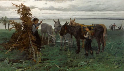Boys Herding Donkeys