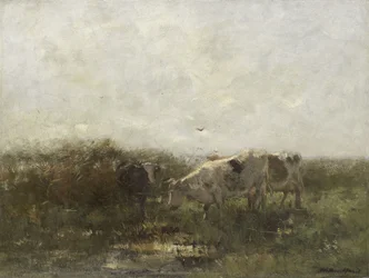 Cows in a Soggy Meadow