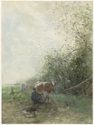 Milking Time