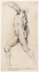 Anatomical Study (Écorché)