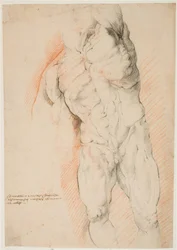 Anatomical Study (écorché). Front View of Standing Flayed Man, His Left Arm Raised