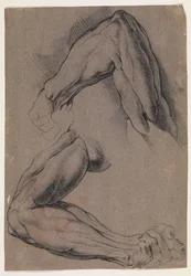Anatomical Study. Two studies of a man