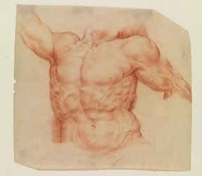 Front View of Laocoon’s Torso