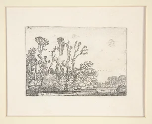 Herd of Sheep Near the Water, Plate 8 from The Set of the Landscapes