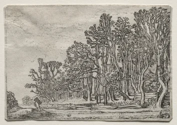 The Set of the Landscapes: Two Plank-Hedges