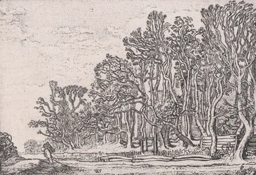 Two Plank Hedges, from Various Little Landscapes, Plate 6