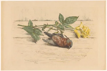 Dead Finch Lying Next to a Rose