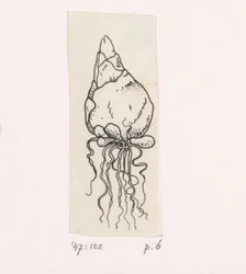 Flower Bulb