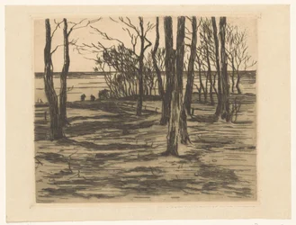 Trees by the Waterside in Valkeveen
