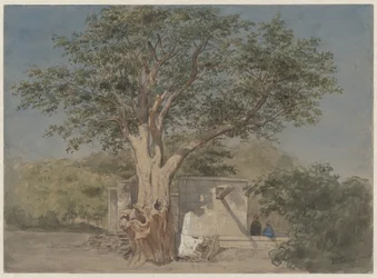 Hut Under Tree in Cairo