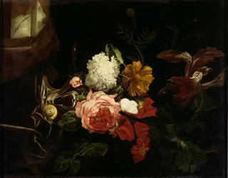 Unknown Image