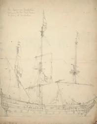Portrait of the 