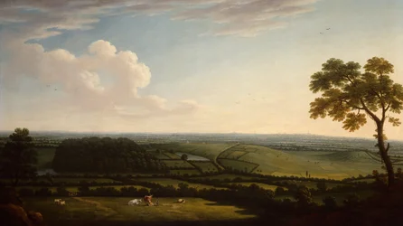 Extensive Wooded Landscape with a Distant View of a Town