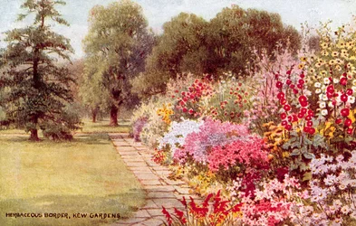Herbaceous Border, Kew Gardens