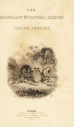 Titlepage with Vignette of a Lion Attacking a Tiger (engraving)