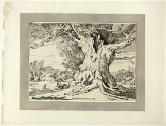 Resting, Men and Dogs Under a Big Tree