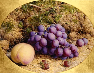 Grapes and Peach on a Mossy Bank