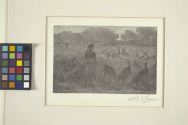 The Turkey Pasture