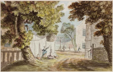 Busy Cottage