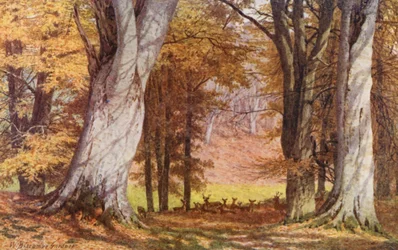 In Knole Park, Near the King Beech
